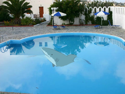 Shark pool