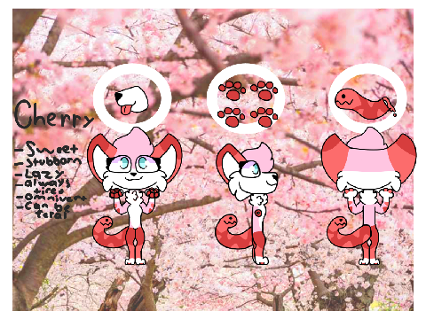 + Cherry ref 2020 + 