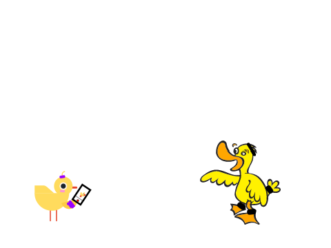 Duck land 