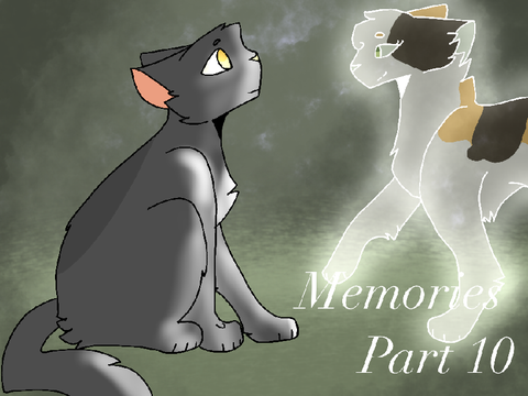 ☁︎ Memories | 10 ☁︎ 