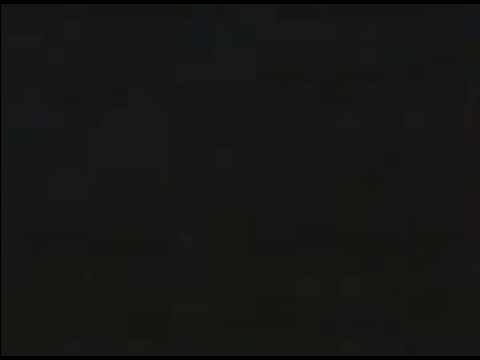 fox_intro