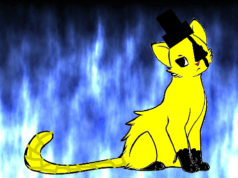 Bill Chipher kitty