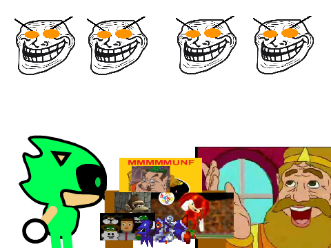 Sonic2289's dinner?