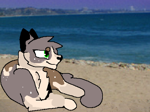 Life in Tideclan Cat: Tidekit