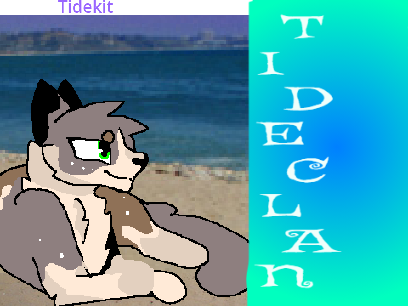 life in tideclan roleplay bio: Tidekit
