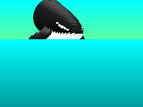 Whale 