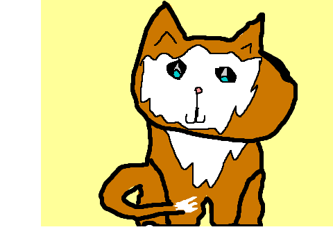 A Cat