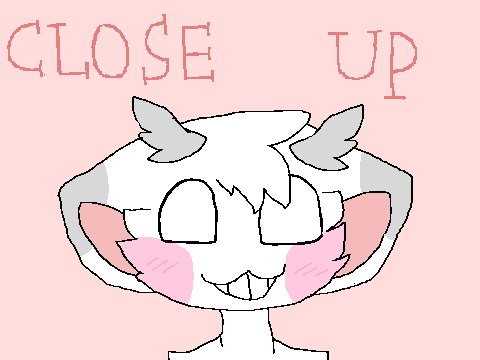 II CLOSE UP II {Last MEME}