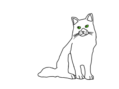 Class 2 Lesson 5 Exam