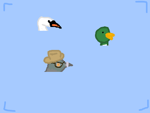 Birds?