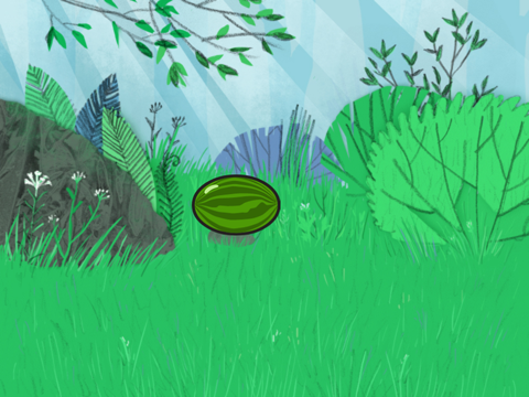 THE WATERMELLON