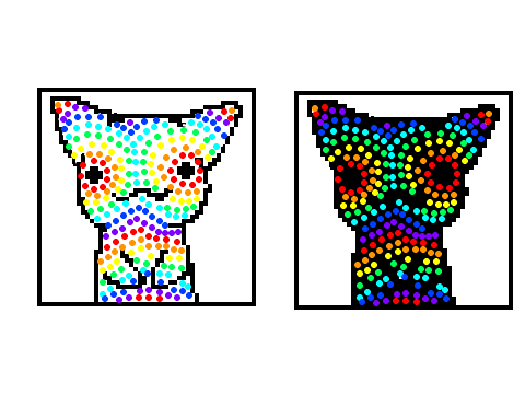 Rainbow Spotted Licky