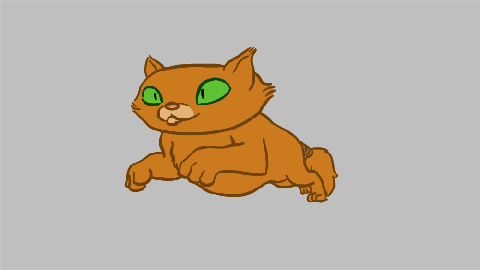 кот