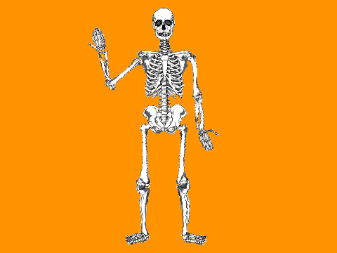skeleton poser