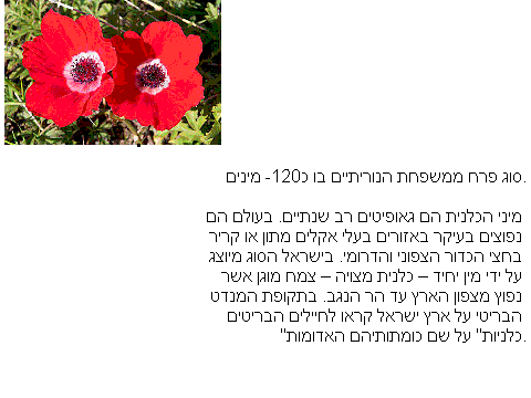 טו בשבט