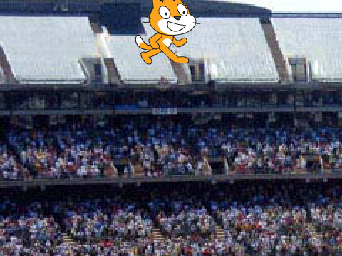 Crazy Cat #4: Stop That Cat 