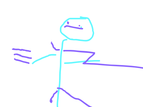 the flash
