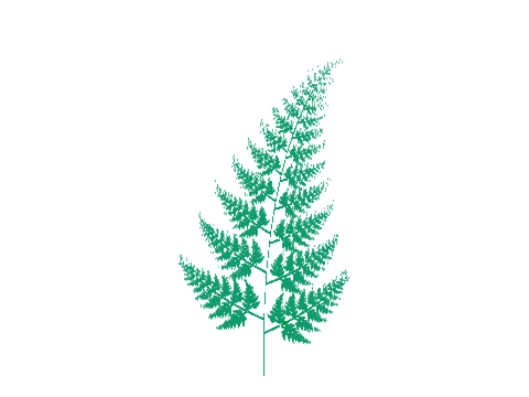 fern leaf