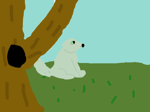 nature wonderland