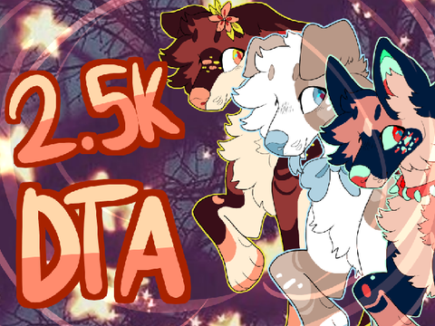 2.5k followers dta!!! closed