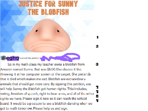 Justice for Sunny the Blobfish