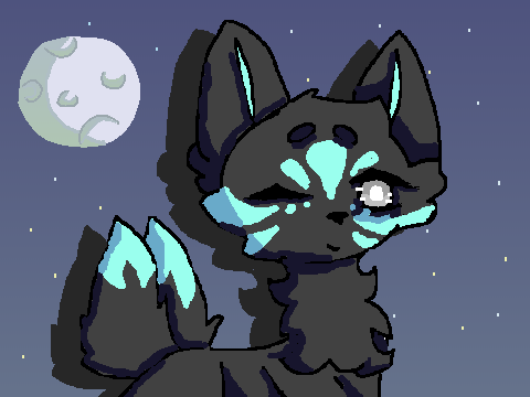 Infinity ✩ Open CC entry 