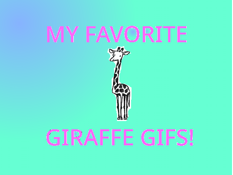 My Fave Giraffe GIFs!