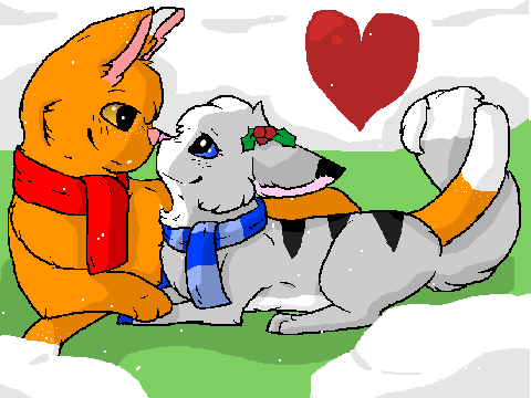 Christmas cat love :3 CCE