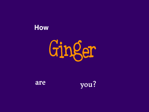 How GINGER are you?! remix