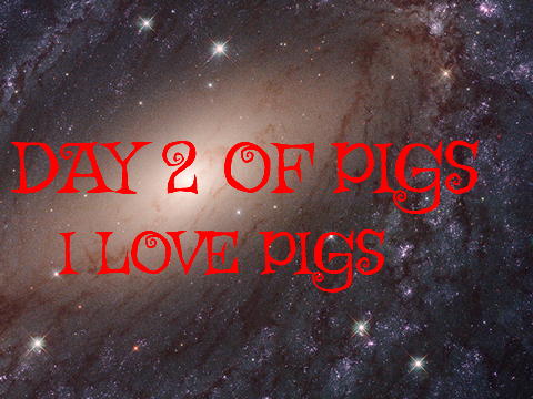 DAY 2 OF PIGS!!!