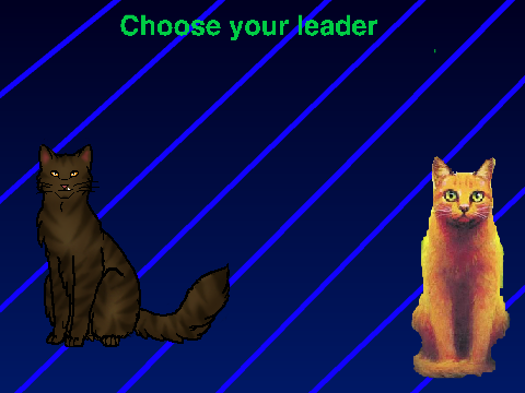 Get your Warrior Cat name
