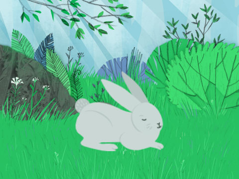 BunBun The chat bot