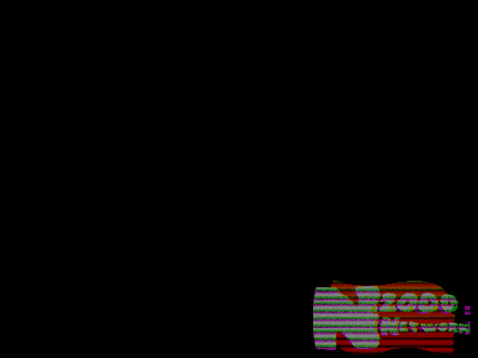N2000 Network 2007 Special Bug