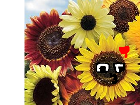 Add yourself as a sunflower
