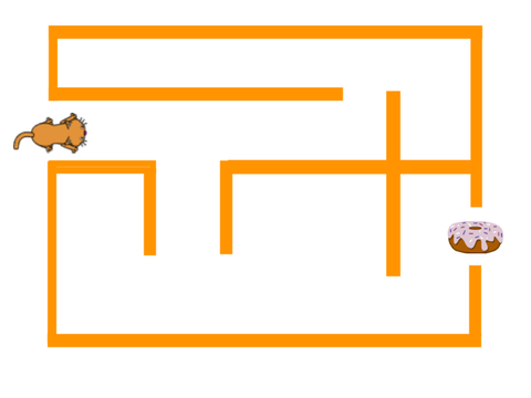 The maze for the cat