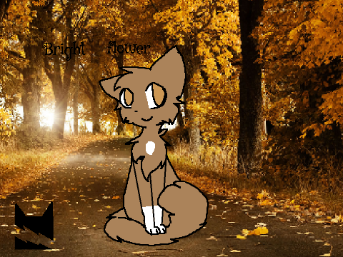 Create a Warrior Cat