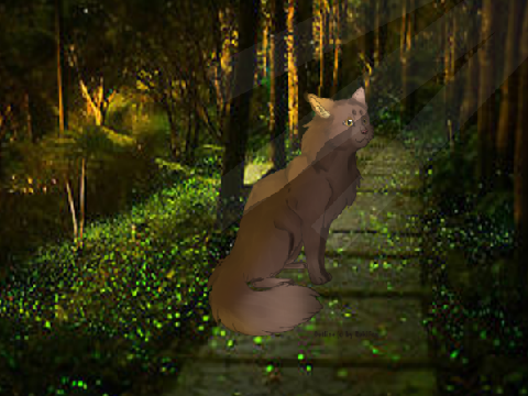 OPEN CC | Entry | <3