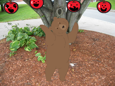 A bear wants an apple