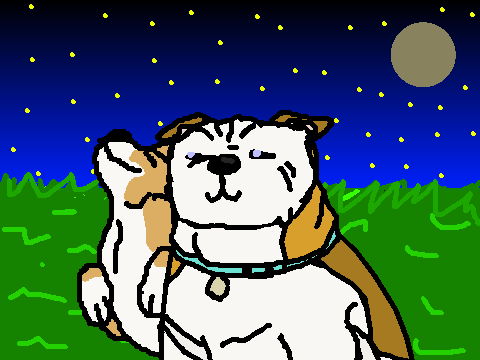Random Corgi Animation 