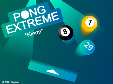 Pong EXTREME 29