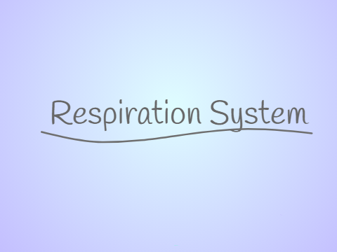 Respiration