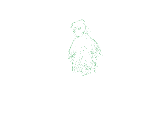 Run Animation