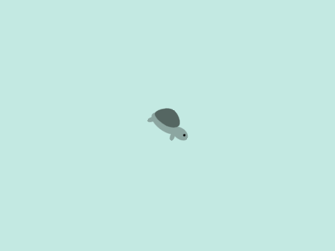 Turtle Farm
