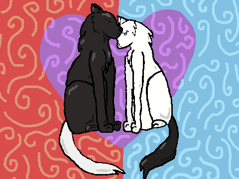 CC Entry <3