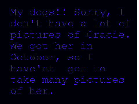 my animlas (dogs)
