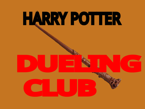 Harry Potter Dueling Club