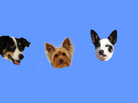annoying dogs
