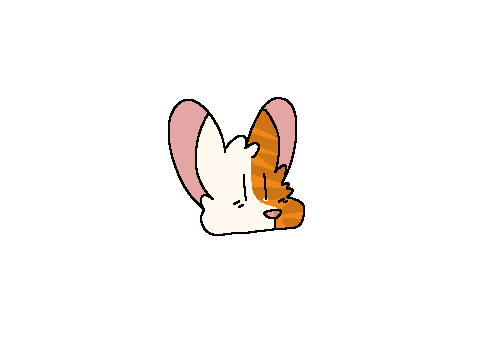 bappy tiny wiggle wiggle