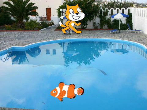 a cat & fishes