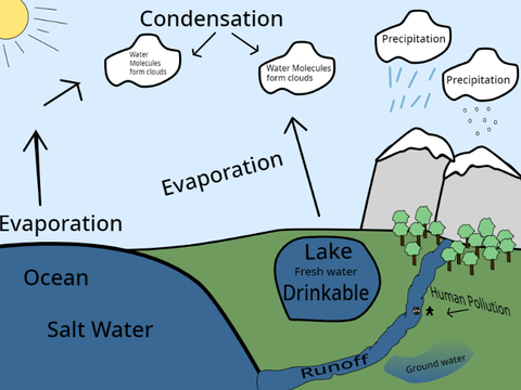 Water cycle